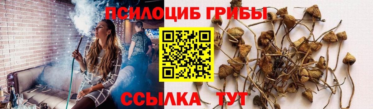 Саяногорск  Псилоцибиновые грибы GOLDEN TEACHER  Вход с VPN 